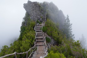 世界短跑联赛：起跑器技术受教练热议，短跑起跑技术教学视频