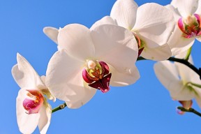 世界马拉松赛事补给站智能管理第39批试点成果通告，马拉松补给线